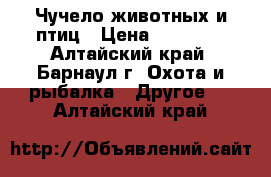 Чучело животных и птиц › Цена ­ 40 000 - Алтайский край, Барнаул г. Охота и рыбалка » Другое   . Алтайский край